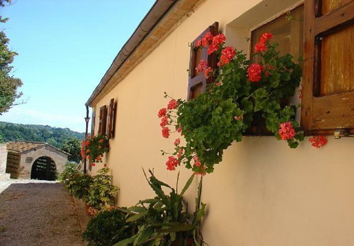 Villa Fattoria Casanova Palaia Exterior foto
