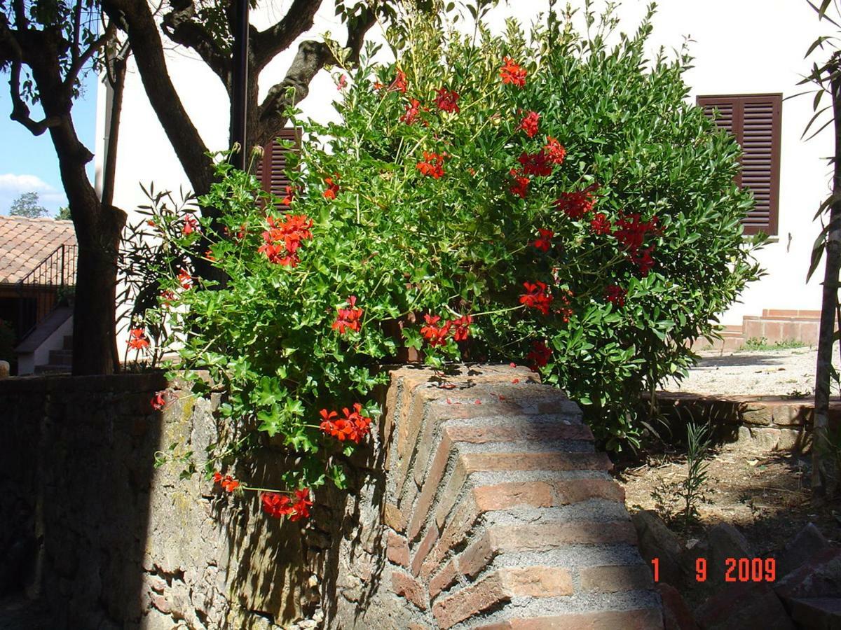 Villa Fattoria Casanova Palaia Exterior foto